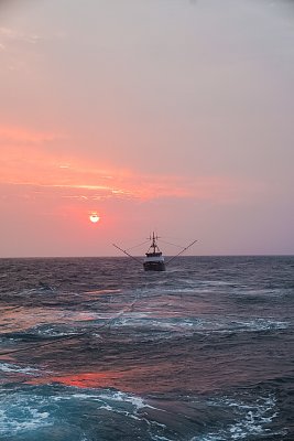 image_7413433.jpg