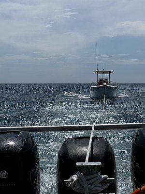 image_7367424.jpg