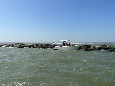 image_7267711.jpg