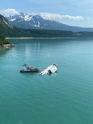 image_7300650.jpg