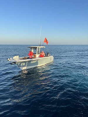 image_7280627.jpg