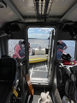 image_7342573.jpg