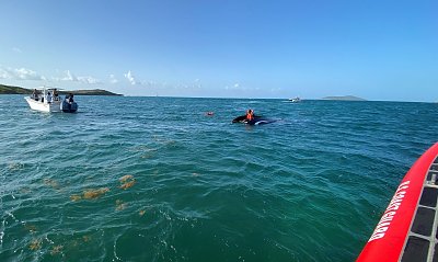 image_7321760.jpg
