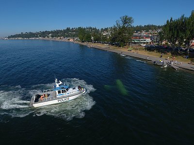 image_7337729.jpg