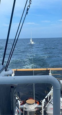 image_7267628.jpg