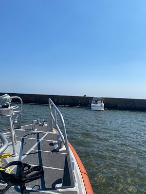 image_7342587.jpg