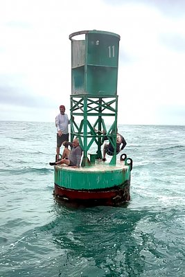 image_7226401.jpg