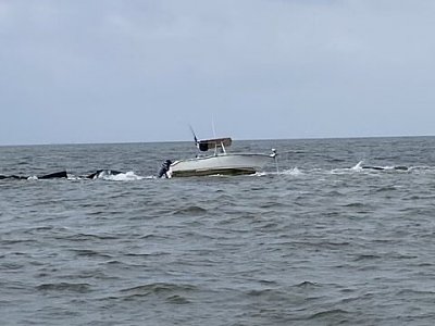 image_7168731.jpg