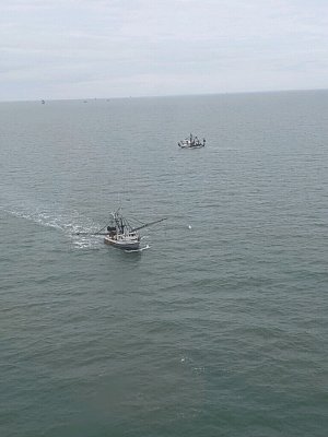 image_7037447.jpg