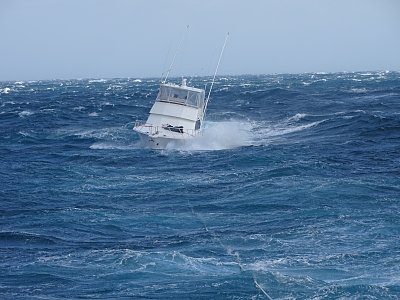 image_7051384.jpg