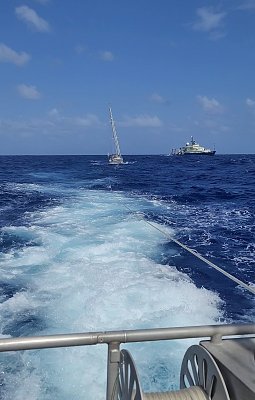 image_7058170.jpg