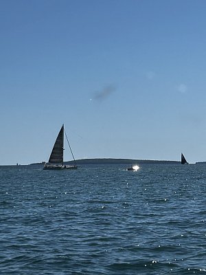 image_9195142.jpg