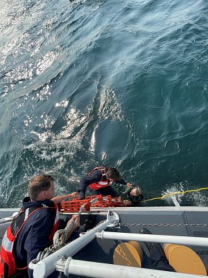 image_9302756.jpg