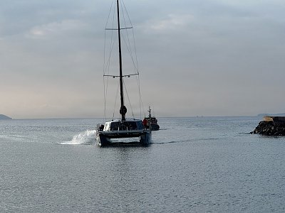 image_9499224.jpg