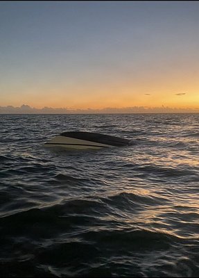 image_9474369.jpg