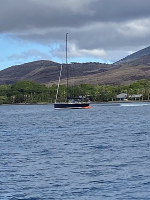 image_6916065.jpg