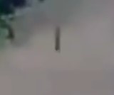 323448.jpg
