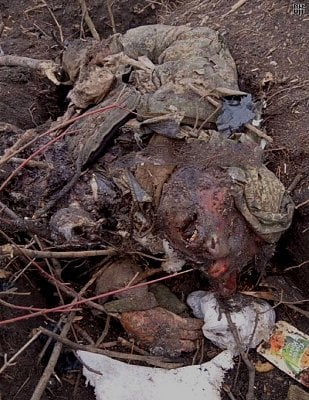 dh-20-20sldiers-27-20horror-20faces-20and-20bodies-20of-20russia-ukraine-20conflict-202.jpg