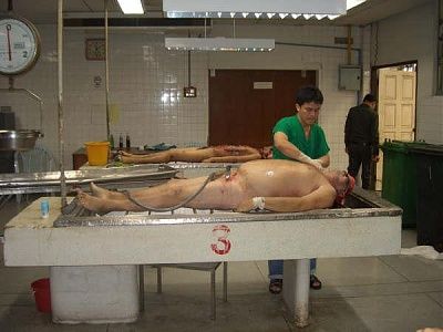 10601-performing-autopsy-kitchen-toolsbig1.jpg