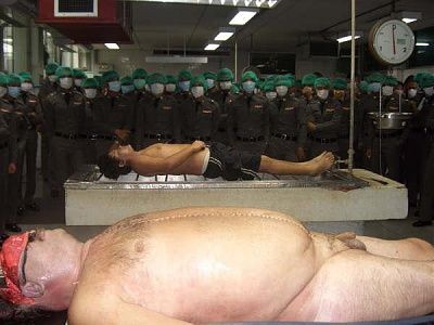 10601-performing-autopsy-kitchen-toolsbig7.jpg