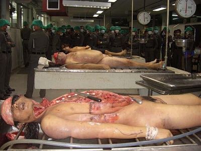 10601-performing-autopsy-kitchen-toolsbig8.jpg