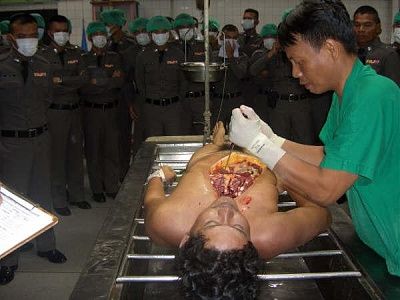 10601-performing-autopsy-kitchen-toolsbig10.jpg