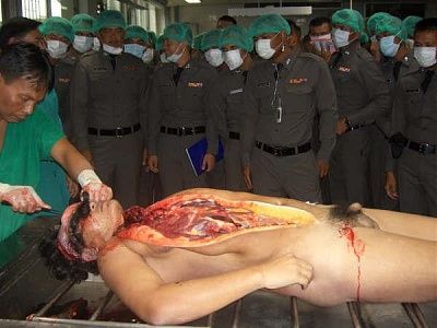 10601-performing-autopsy-kitchen-toolsbig14.jpg