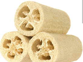 loofah.png