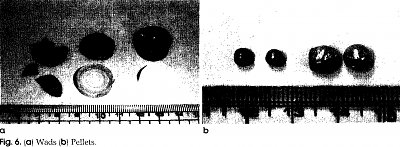 1f.jpg