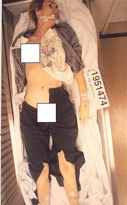 lisa1_fixed.jpg