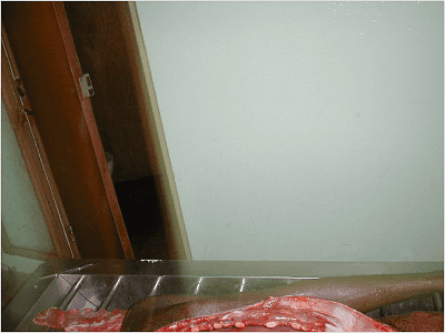 drugs.png