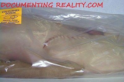 bodybag1.jpg