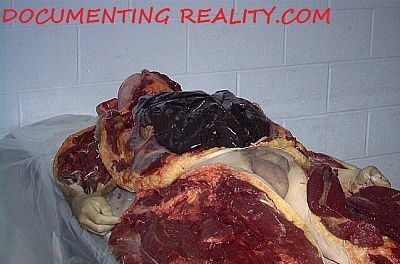 bodybag6.jpg