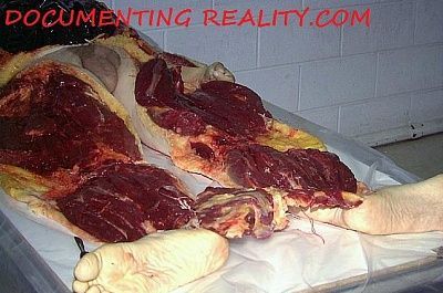 bodybag7.jpg
