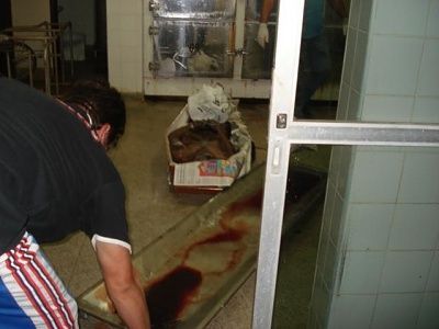 morgue3.jpg