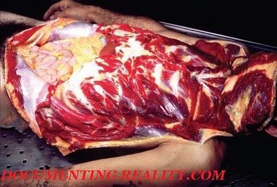 carving2.jpg