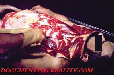 carving3.jpg