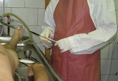 morgue5.jpg