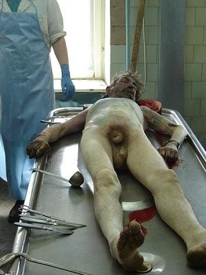 in04.jpg