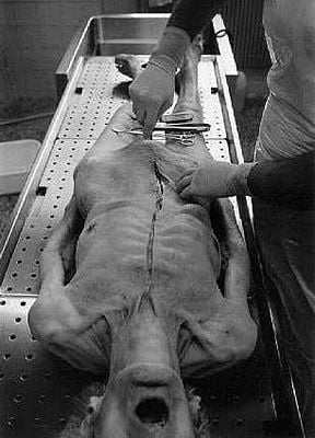 old-20dude.jpg