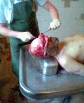 Name:  03.gif
Views: 4021
Size:  64.8 KB