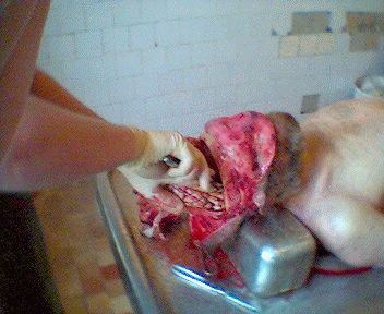 Name:  05.gif
Views: 4125
Size:  64.3 KB
