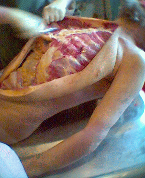 Name:  07.gif
Views: 4093
Size:  72.9 KB