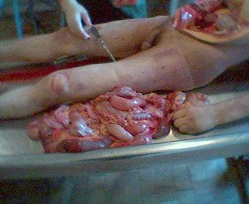 Name:  08.jpg
Views: 3333
Size:  31.6 KB