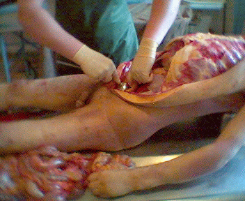Name:  09.gif
Views: 4198
Size:  73.8 KB