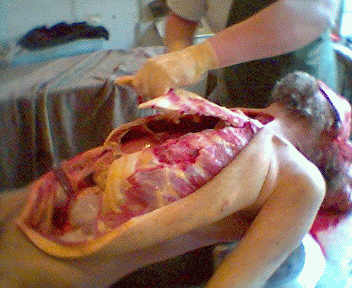 Name:  10.gif
Views: 4155
Size:  70.3 KB