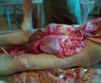 Name:  11.gif
Views: 4352
Size:  73.8 KB
