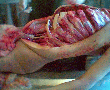 Name:  12.gif
Views: 4197
Size:  72.5 KB