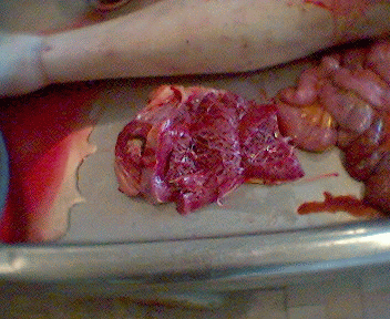 Name:  14.gif
Views: 3779
Size:  70.2 KB