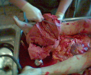Name:  16.gif
Views: 4279
Size:  77.6 KB